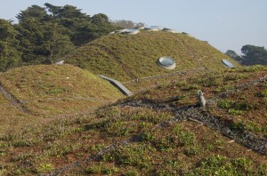 Roof of the California Academy of Sciences