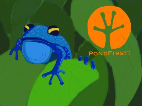 Pond First