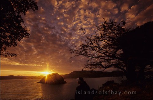 The Islands of San Francisco Bay