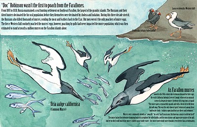 Garibaldi and the Farallon Egg War