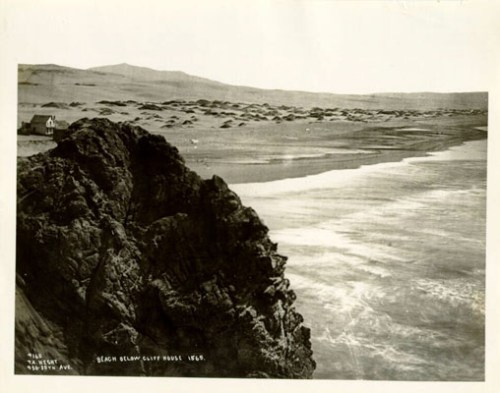 Ocean Beach and san dunes