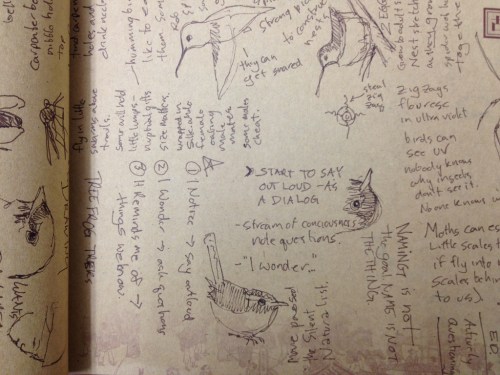 sketches from the lecture