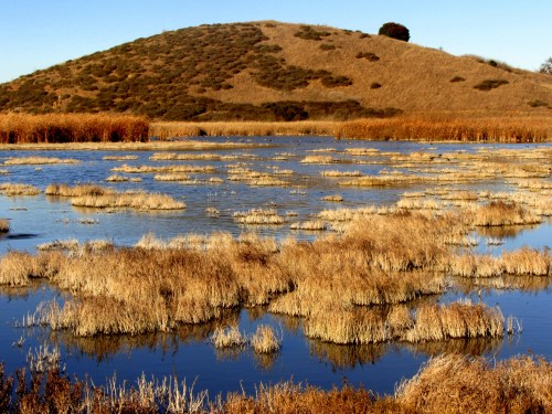 photo by Sunil Veluvali