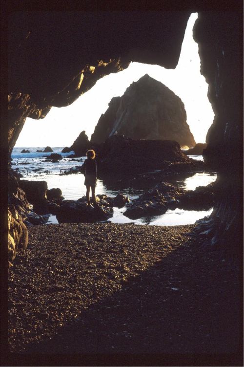 Elephant Bay Entrance, El Reyes Cave